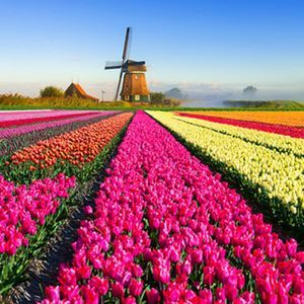 Meet your Posher, Loni